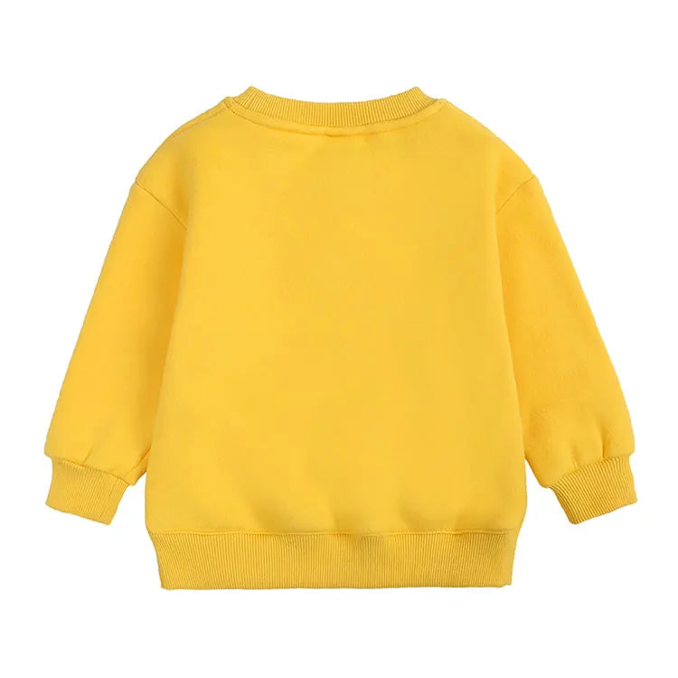 Fashion Kids Clothes Girls Sweatshirts Cotton Long Sleeve Kids Sweaters for Boys Spring Autumn Children Clothing 1-6 Years