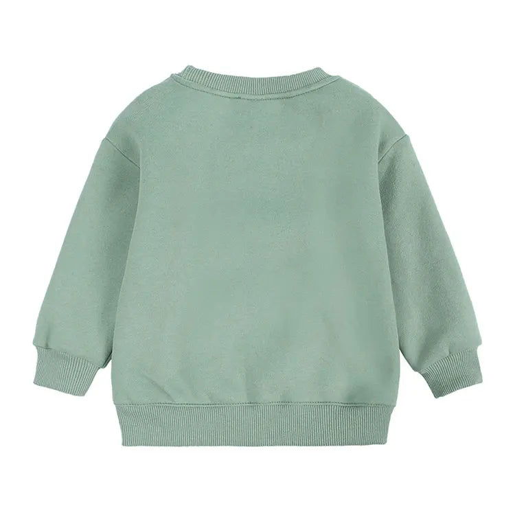 Fashion Solid Color Kids Clothes Boys Sweatshirt Cotton Long Sleeve T-shirt for Boy Spring Autumn Children's Hoodie 1-6 Years