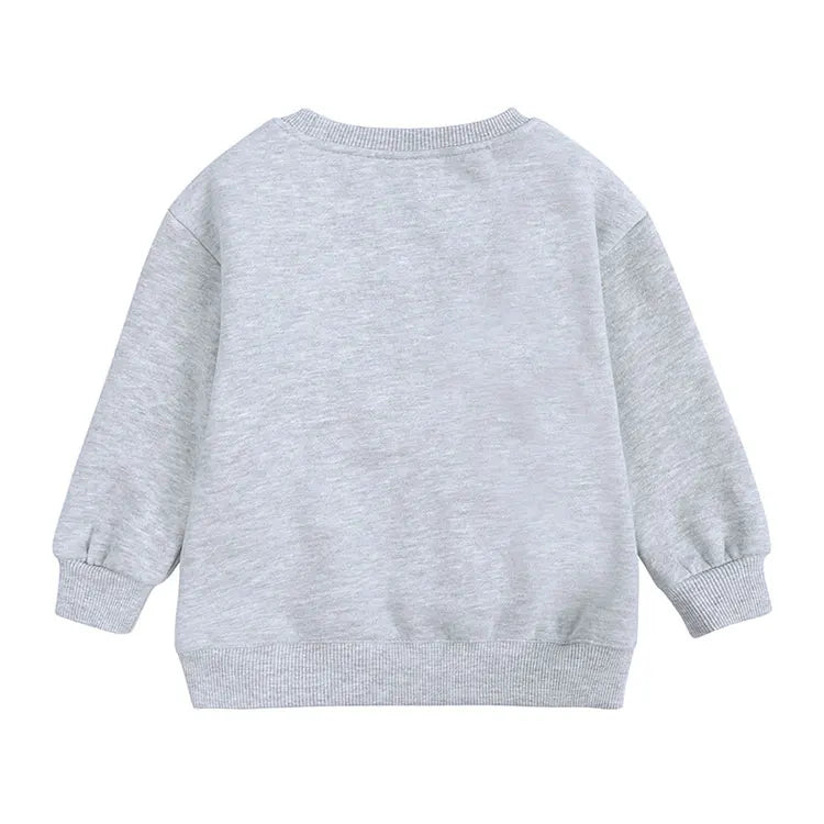 Fashion Kids Clothes Girls Sweatshirts Cotton Long Sleeve Kids Sweaters for Boys Spring Autumn Children Clothing 1-6 Years