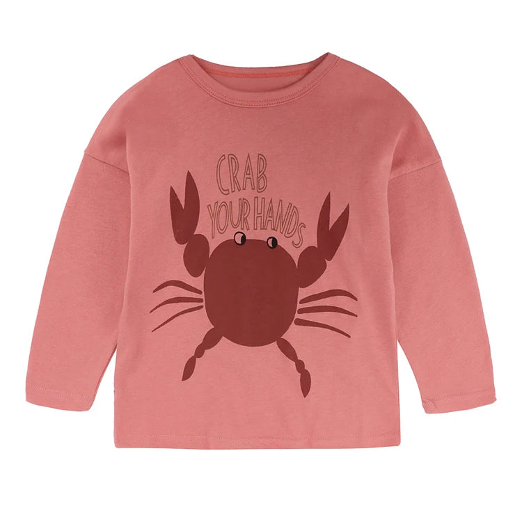 Top T Shirt For Boy,Print Children Boys T Shirt Spring Autumn Kids Tshirt Cotton Long Sleeve Girls Tshirt Cartoon Baby T-Shirts